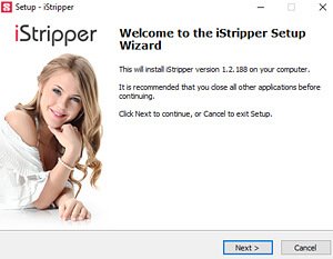 Gratuit Desktop Dancer logiciel installation step 1